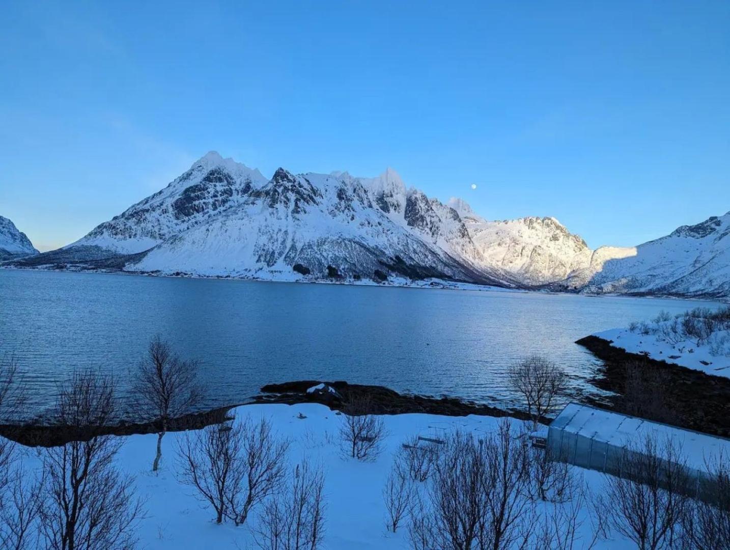 Nydelig Hytte Med Fantastisk Beliggenhet Ved Sjoen Villa Laupstad Esterno foto